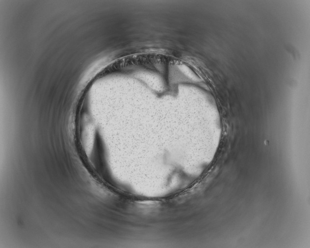 X0000113990053200910161656