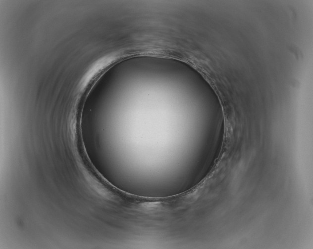 X0000113990054200910161656