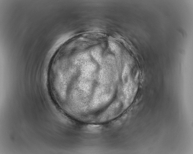 X0000113990055200910161656