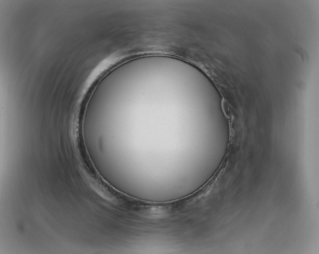 X0000113990056200910161656