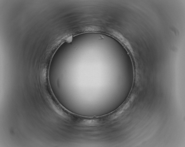 X0000113990057200910161656