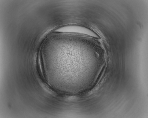 X0000113990058200910161656