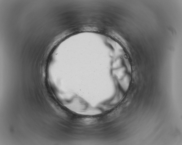 X0000113990059200910161656