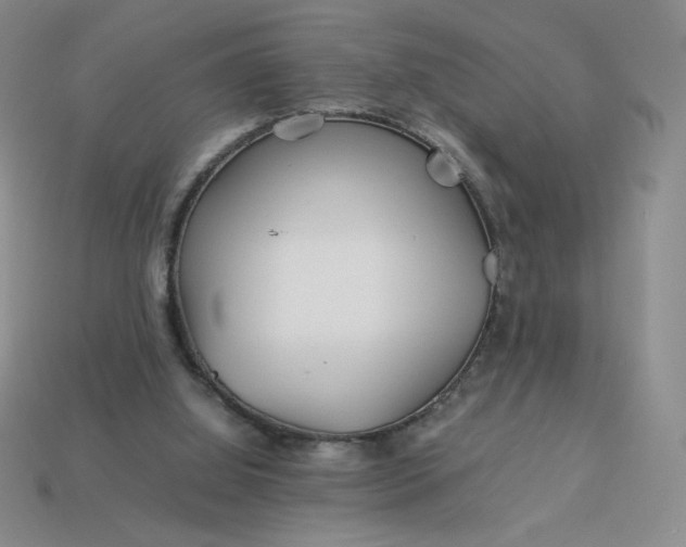 X0000113990060200910161656