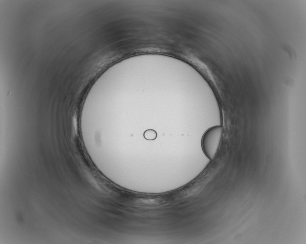 X0000113990061200910161656