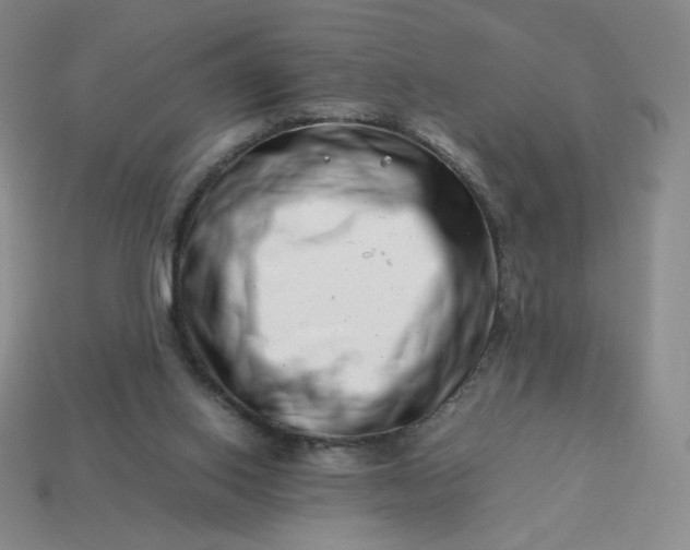 X0000113990062200910161656