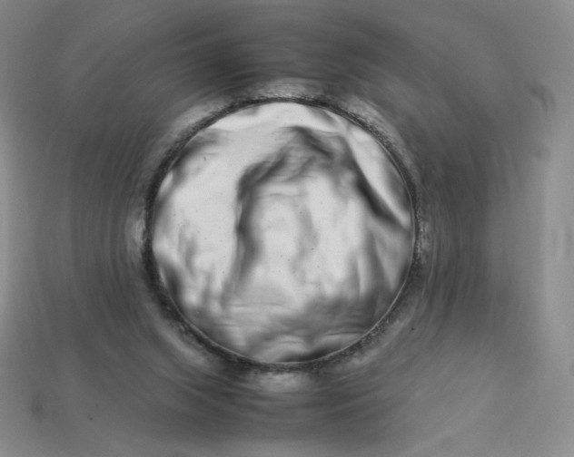 X0000113990063200910161656