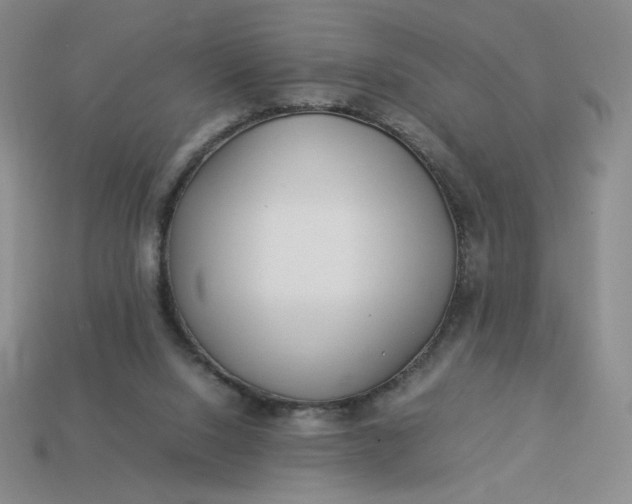 X0000113990064200910161656