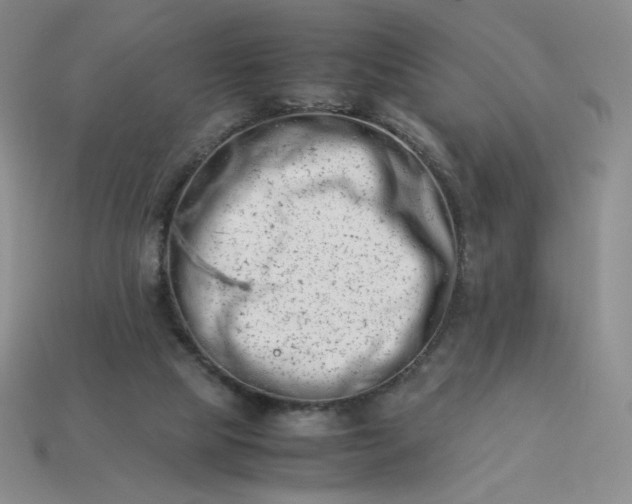 X0000113990065200910161656