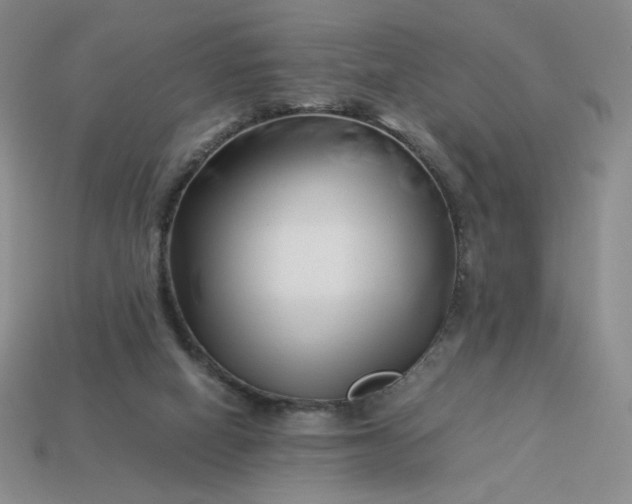 X0000113990066200910161656