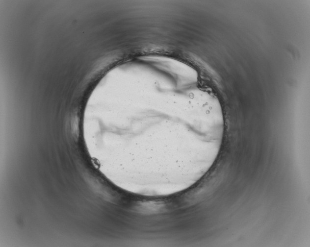 X0000113990067200910161656