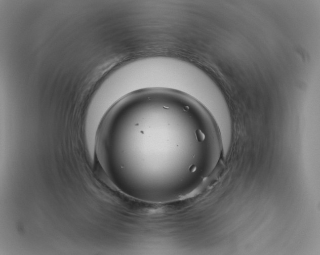 X0000113990068200910161656