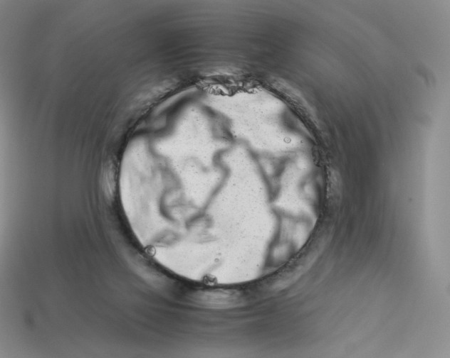 X0000113990069200910161656