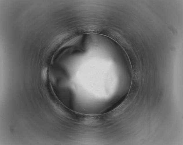 X0000113990070200910161656