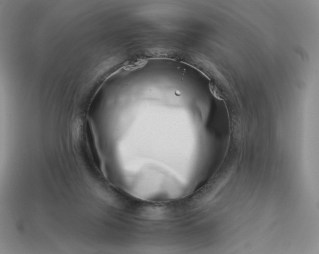 X0000113990071200910161656