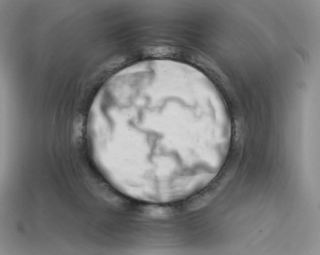 X0000113990073200910161656