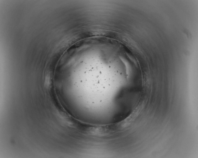 X0000113990074200910161656