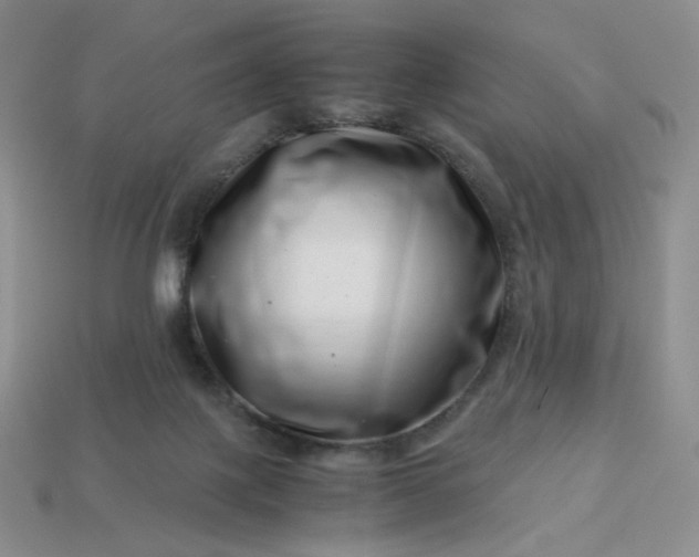 X0000113990075200910161656