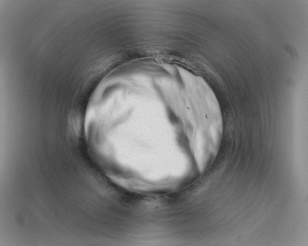 X0000113990076200910161656