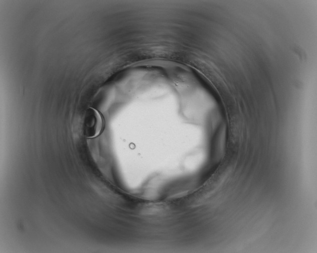 X0000113990077200910161656