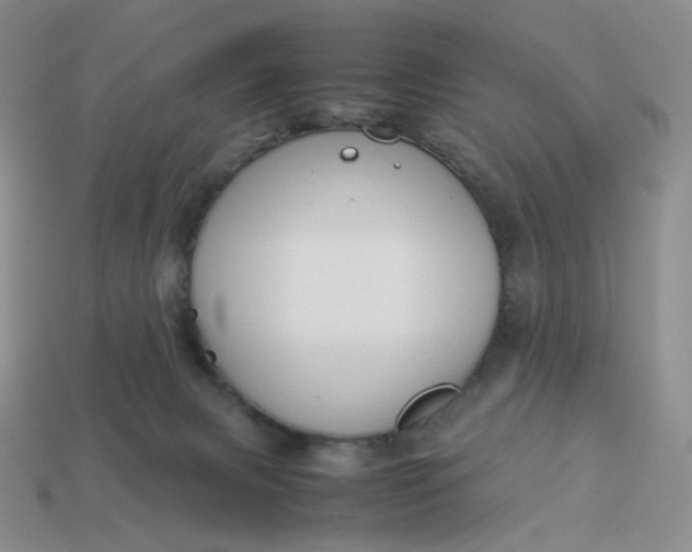 X0000113990079200910161656