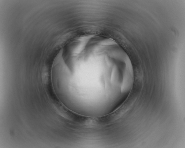 X0000113990080200910161656