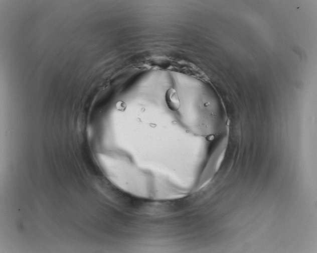 X0000113990082200910161656