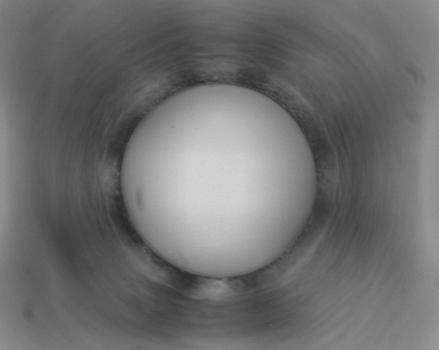 X0000113990083200910161656