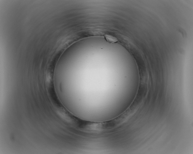 X0000113990084200910161656