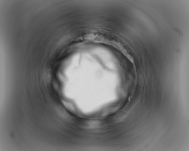 X0000113990085200910161656