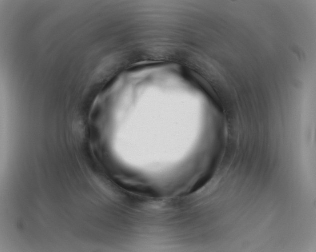 X0000113990086200910161656