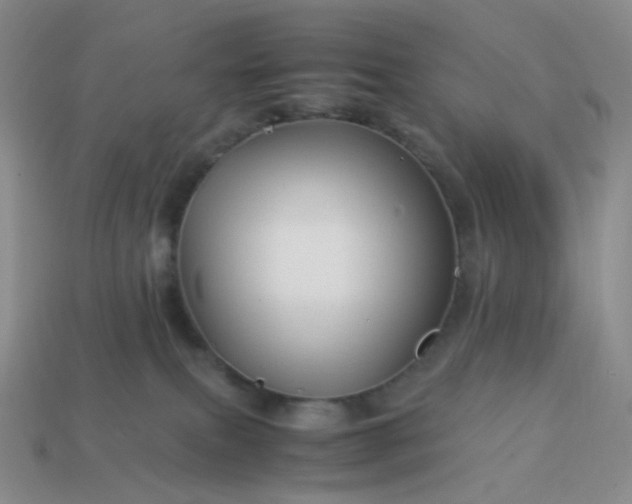 X0000113990087200910161656