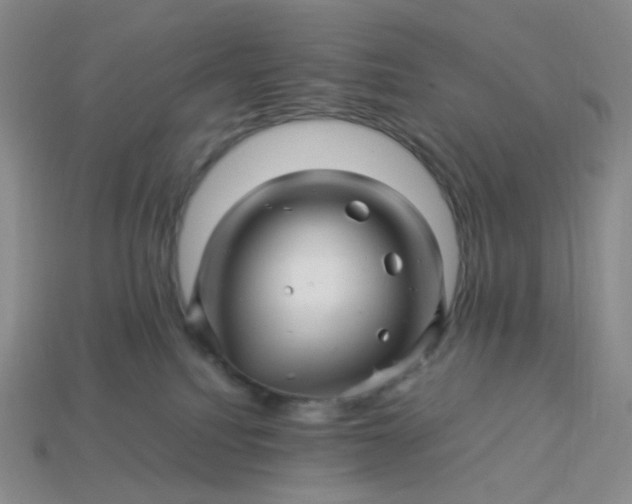 X0000113990088200910161656