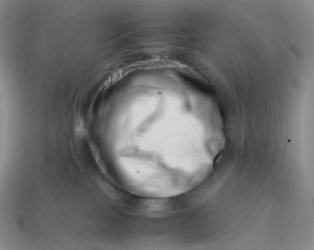 X0000113990089200910161656