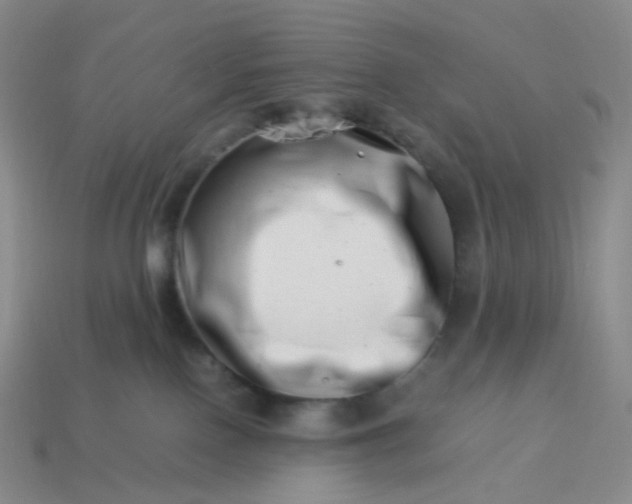 X0000113990090200910161656