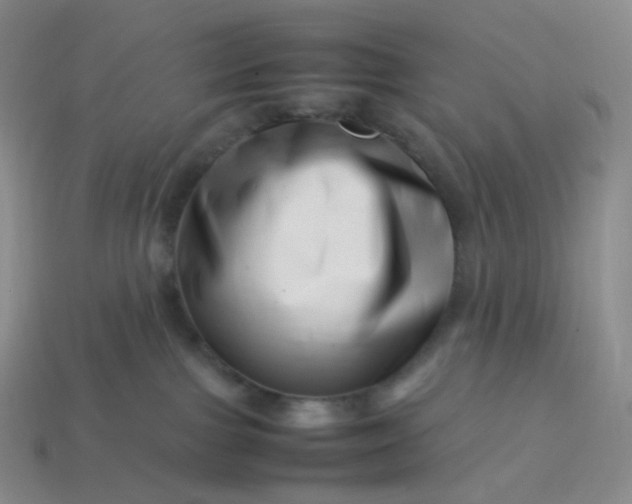 X0000113990091200910161656