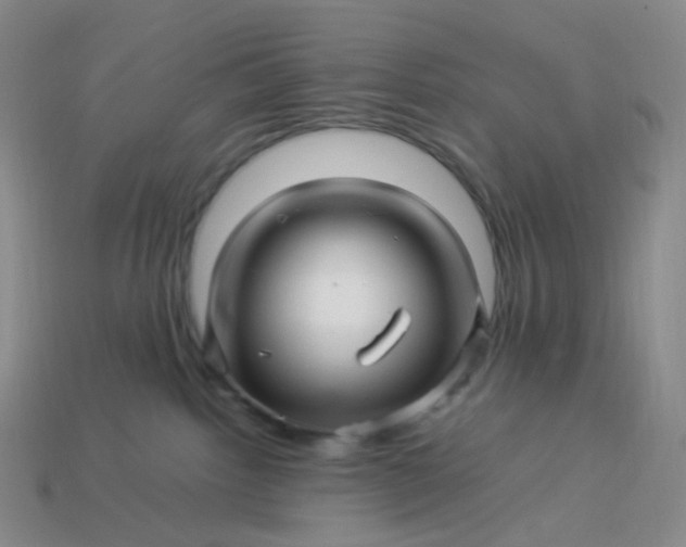 X0000113990092200910161656