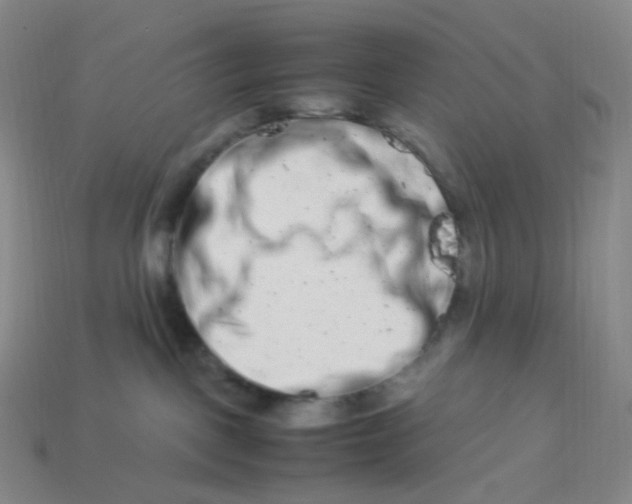 X0000113990093200910161656