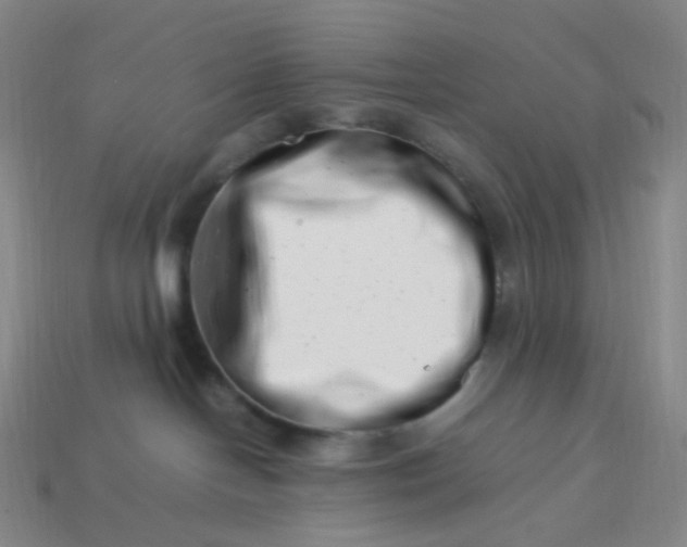 X0000113990094200910161656