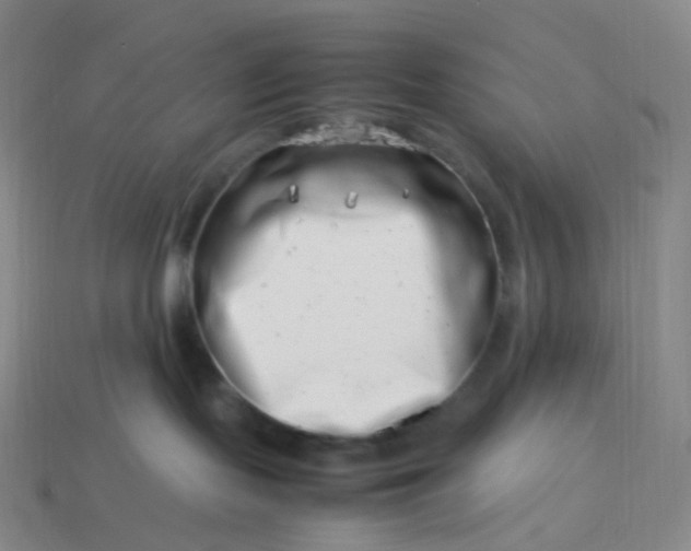 X0000113990095200910161656