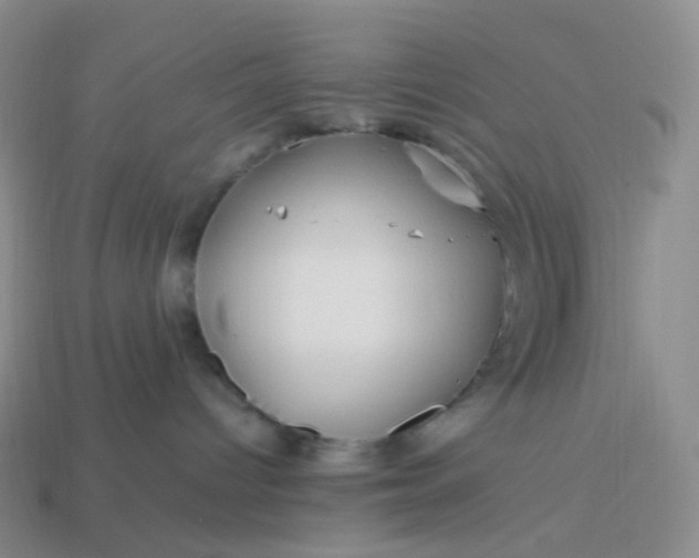 X0000113990096200910161656