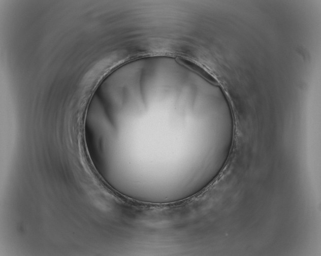 X0000113990097200910161656