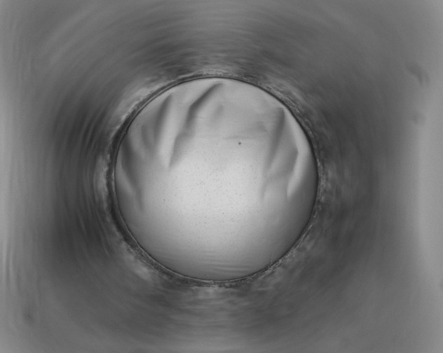 X0000113990098200910161656