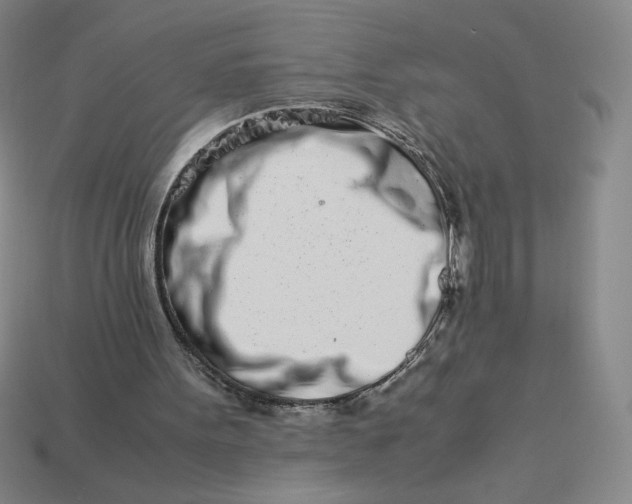 X0000113990099200910161656