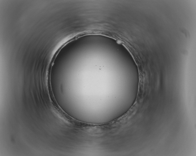 X0000113990100200910161656