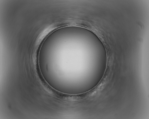 X0000113990103200910161656