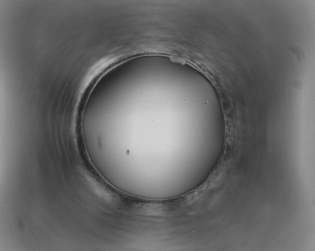 X0000113990104200910161655