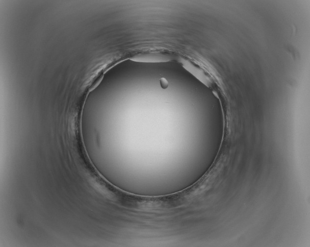 X0000113990105200910161655