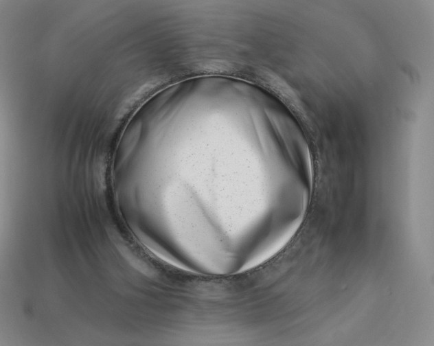 X0000113990106200910161655