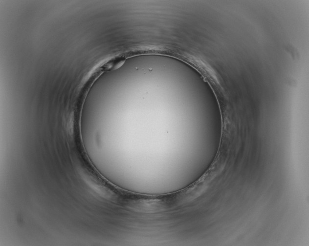 X0000113990108200910161655